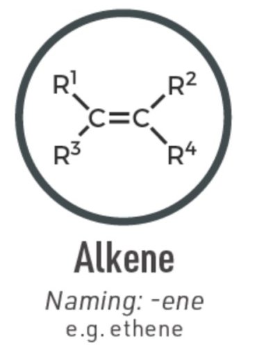 alkenex600.jpg